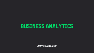 Business Analytics