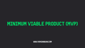 minimum viable product